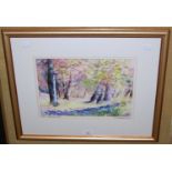 ARR Olive Robbins (contemporary), 'Spring Ballathie Woods', watercolour signed lower right,