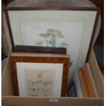 A box of assorted decorative pictures and prints