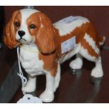 A Beswick model of a King Charles Cavalier Spaniel with brown coloured markings