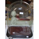 A glass domed display case, approx. 48cm high
