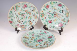 Three Chinese porcelain celadon ground famille rose plates, Qing Dynasty, decorated with