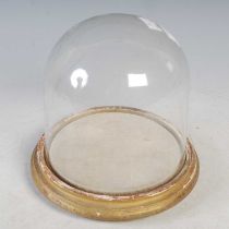 A circular domed display case, the detachable clear top mounted to a gilt coloured wooden base.