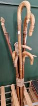 A group of assorted walking canes to include five with horn handles, two with wooden handles,
