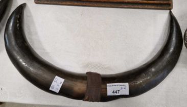 A pair of cow horn mounts.