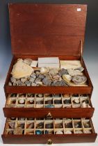 Palaeontology & Mineral Interest - a collection of fossils and various other rock specimens,