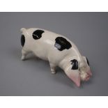 Beswick pig