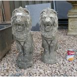 Pair of stone lion garden figures - Approx height 50cm