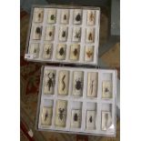 2 boxed sets of varied insects set in resin blocks