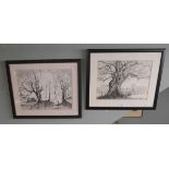 2 pen and ink pictures by Chris Chatland one titled 'Woodland at Sunrise' and the other 'Somewhere