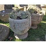 Pair of stone planters with plants
