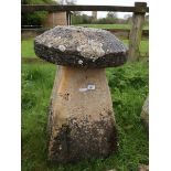 Staddle stone - Approx height: 78cm
