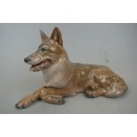 Royal Copenhagen model of a German shepherd dog No.1798 painter Cox C1935