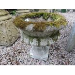 Small stone planter - Approx height: 36cm