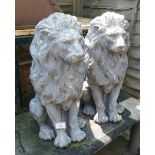 Pair of lion statues - Approx height 53cm