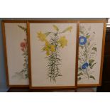 3 botanical water colours signed Margaret Tarran