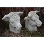 Pair of stone bulls heads - Approx height: 46cm