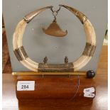 Boar tusk and white metal table gong