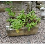 Stone trough with plants