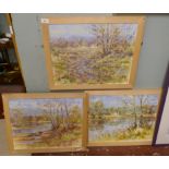 Collection of framed paintings by local artist Tomas Horsnet