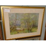 Watercolour of a peaceful glade by Wilson - Approx image size: 68cm x 48cm