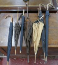 Collection of Victorian and Edwardian parasols and umbrella's