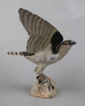 A Spode fine bone china model of an osprey hand painted and marked AW to base - Approx height: 29cm