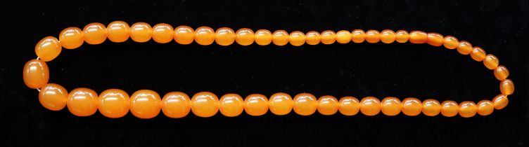 Butterscotch Baltic amber necklace