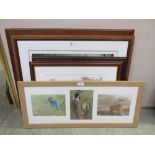 A selection of framed and glazed prints on animal themes to include a limited edition print