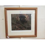 A framed and glazed limited edition print titled 'Inquisitive' and signed