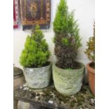 Two composite stone garden pots with small trssa