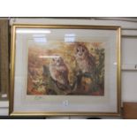 A framed and glazed print of owls after Spencer Roberts with blind stamp