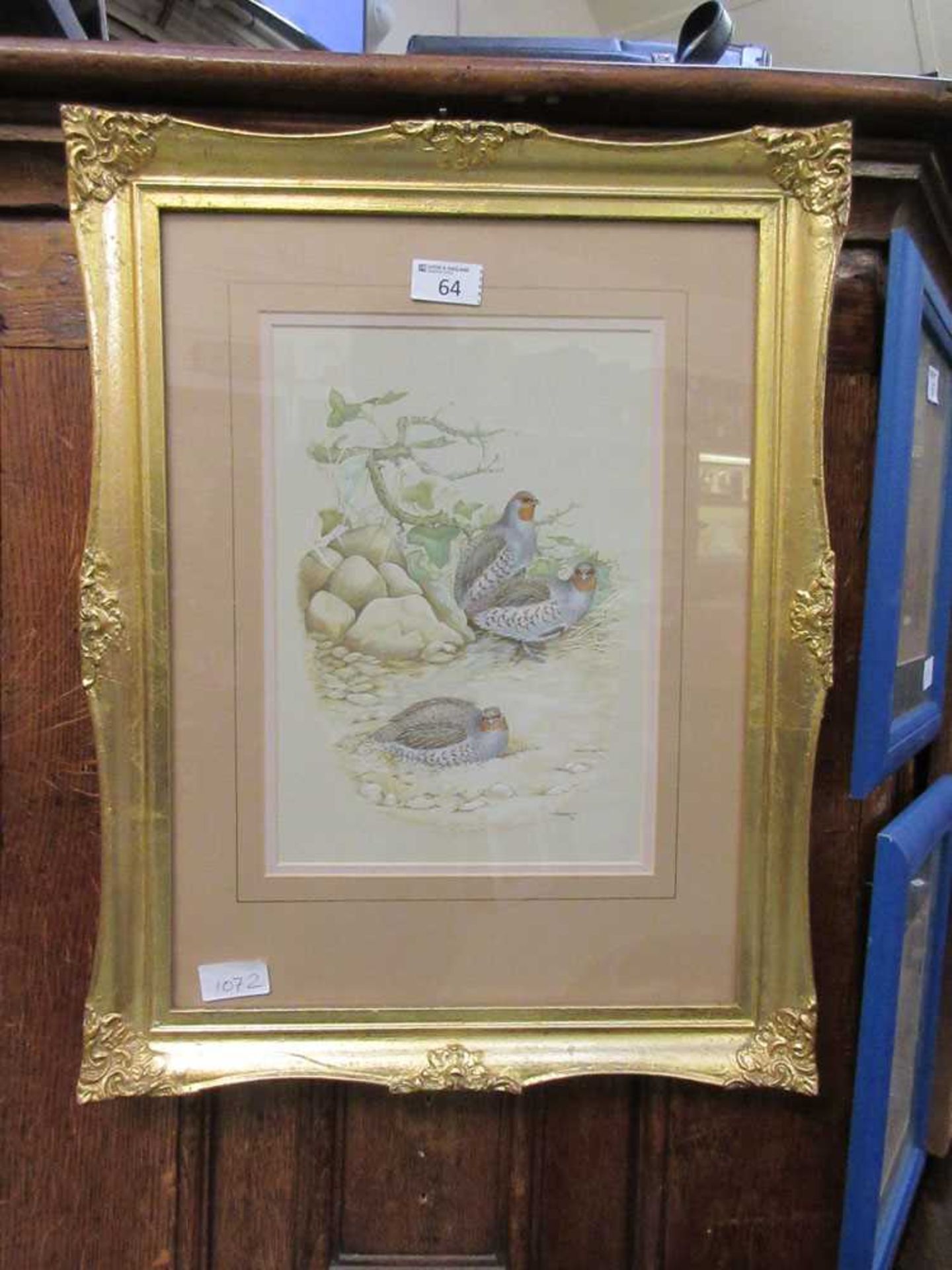 A framed and glazed possible watercolour of resting birds