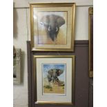 Two framed and glazed prints of elephants, one by David Shepherd, the other Steve Burgess