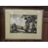 A framed and glazed pen and wash of countryside scene