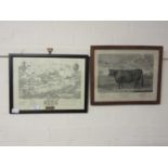 An oak framed and glazed print of cow together with a framed and glazed map 'Battle Of Edgeville'