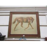 A framed artwork of horseAppears to be a print. Dimensions: H, 66cm , W, 76cm.