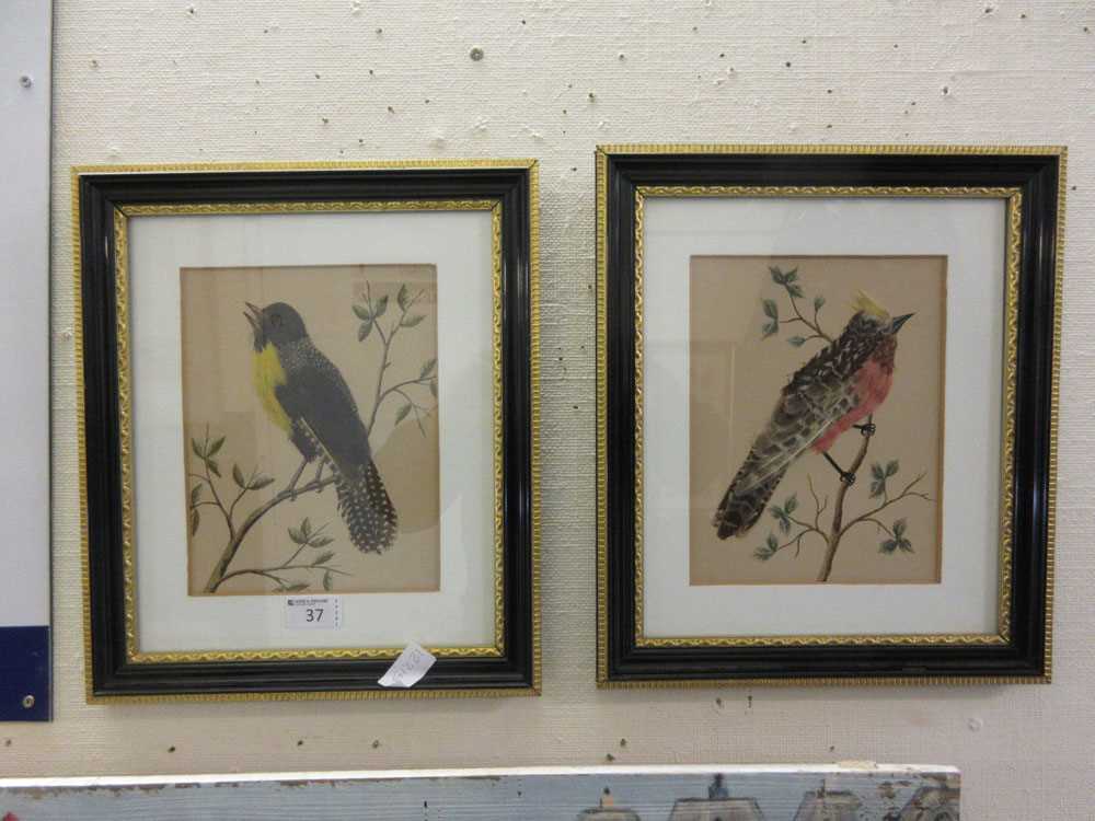 A pair of framed and glazed artworks using real feathers to depict birds
