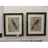 A pair of framed and glazed artworks using real feathers to depict birds