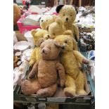 A tray containing six early 20th century teddy bears