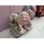 A pair of composite garden ornaments in the form of stalking lions (A/F)