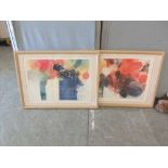 A pair of framed and glazed prints of abstract after Fichthorst