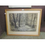 A framed charcoal drawing of woodland scene