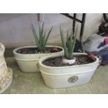 A pair of Heritage Garden Pottery planters with aloe vera plants