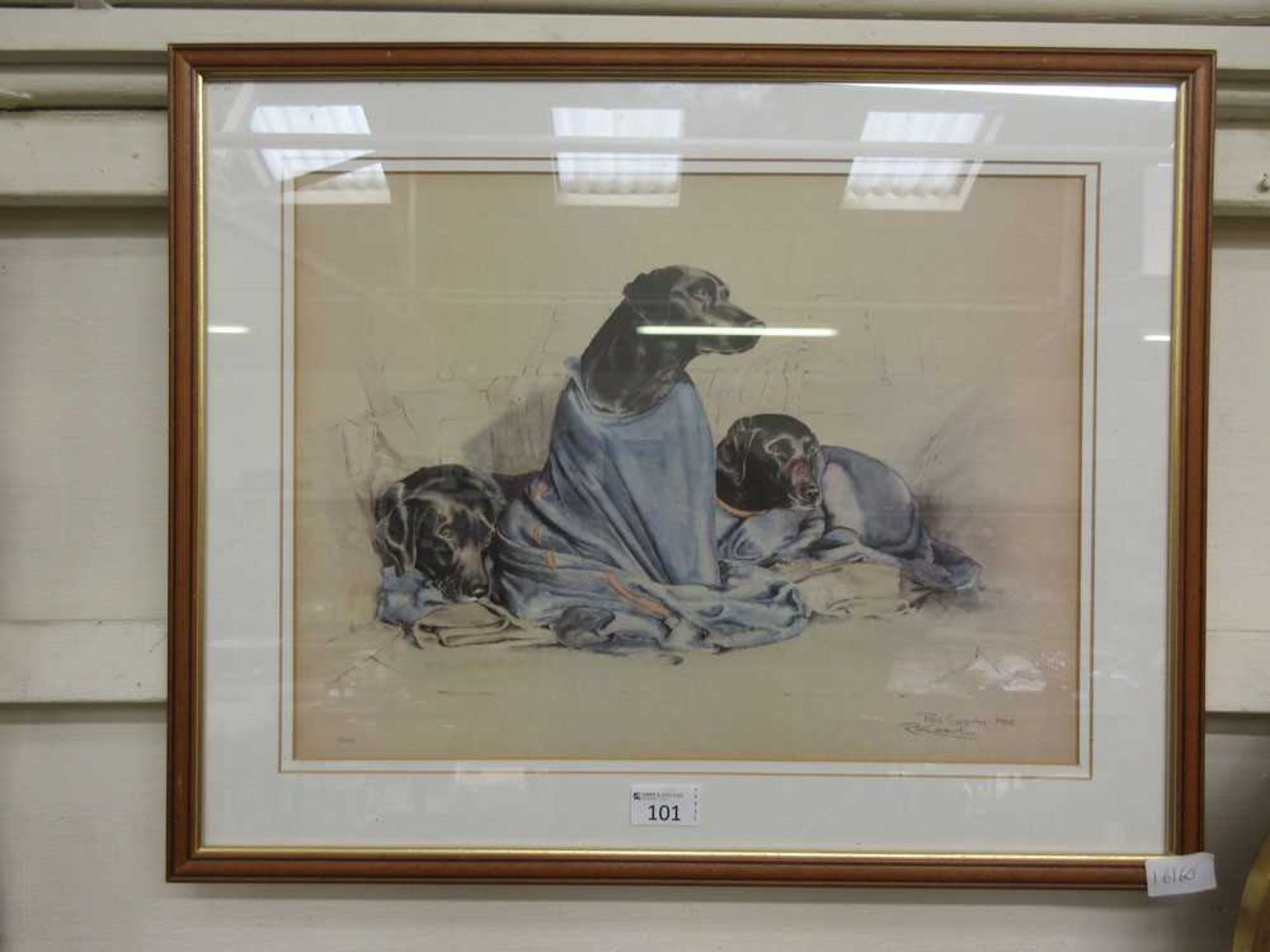 A framed and glazed limited edition print of black labradors in blue blankets after Ros Goody