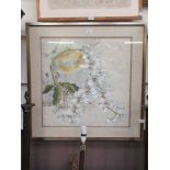 A framed and glazed oriental watercolour of insects on flowering branch