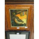 A bird's eye maple framed reverse painting on glass of an owl on branch