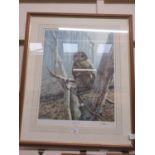 A framed and glazed limited edition print of owl titled 'Morning Watch' by Ian Nathan no.464/850