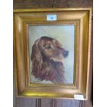 A gilt framed oil on board of dog