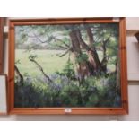 A framed oil on canvas of a wooded country scene signed bottom right Ann Coom '94