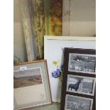 Four various framed and glazed prints and photographs including Whipsnade